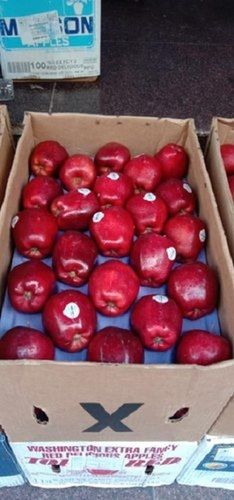 Rich In Vitamin Nutrient Enriched Healthy And Sweet Natural Red Apples