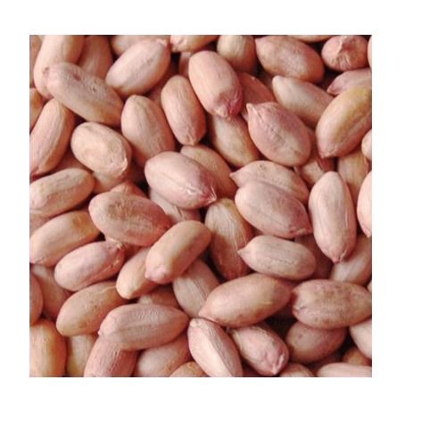 Healthy Rich In Protein Fiber And Vitamin E Hygienically Packed Groundnut Seeds