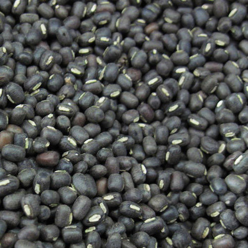  रिच फाइबर और विटामिन 100% शुद्ध स्वस्थ प्राकृतिक रूप से उगाया जाने वाला गोल भारतीय काला चना 