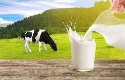 1 L 100% Pure Fresh And Organic Cow White Milk 5.88 Gram Fat  Age Group: Baby