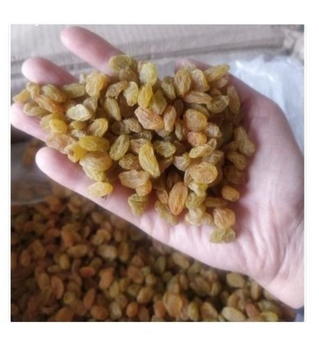 100% Fresh And Organic Golden Raisin Enriched With Proteins Grade: Food Grade