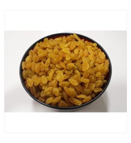 100% Organic And Fresh Round Golden Yellow Raisins