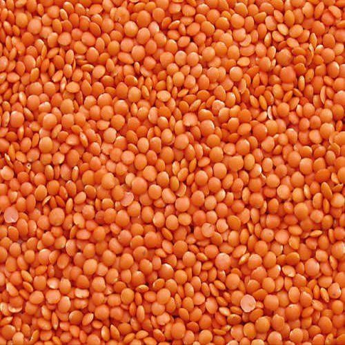 Dried And Pure Organic Red Lentil Masoors Dal High In Protein