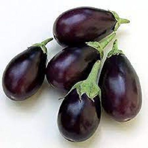 Easy To Digest Good For Health Pesticide Free Organic Fresh Purple Brinjal Moisture (%): 17%