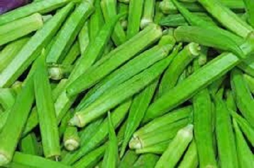 पोटेशियम विटामिन सी और आयरन से भरपूर स्वास्थ्य के लिए अच्छा ऑर्गेनिक फ्रेश ग्रीन लेडी फिंगर मॉइस्चर (%): 17%