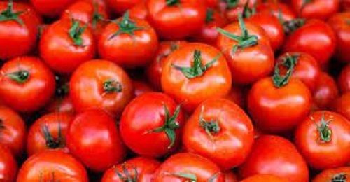 Good Source Of Vitamin Pesticide Free Rich In Potassium Fresh Red Tomato