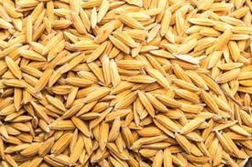 Brown Medium Grain Golden Paddy Rice With 12 Months Shelf Life And Rich In Protein