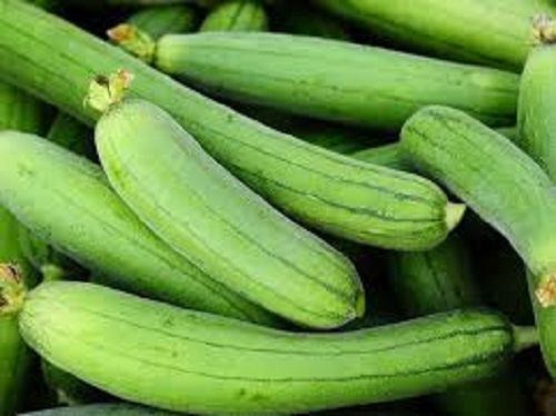  Green Fresh And Tasty Ridge Gourd, No Artificial Flavour, Good For Health