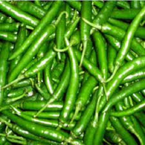 Anti Inflammatory Great Source Of Vitamin C Crispy Organic Fresh Green Chilli Moisture (%): 17%