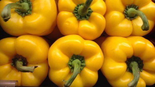 Fresh Good Source Vitamins, Minerals And Antioxidants Yellow Capsicum  Moisture (%): 1479.5%