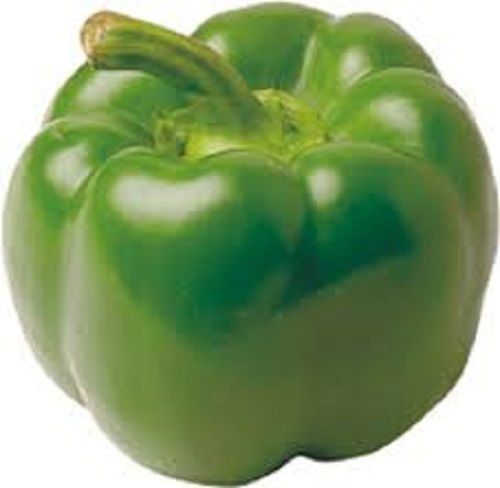Healthy Improves Metabolism Natural And Fresh Nutrient Rich Green Capsicum