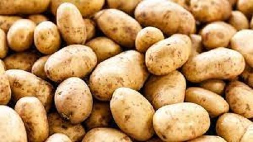 Healthy Natural Great Source Of Vitamin C And Fiber Fresh Brown Potato
