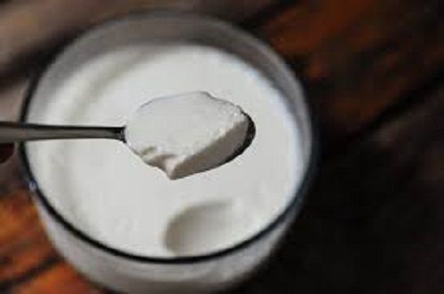 Hygienic Prepared High In Calcium And Vitamin D White Desi Fresh Cow Curd Age Group: Adults