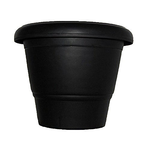 Round Shape Black Plastic Plant Pot - Dimensions: Rectangular, Round, Square, Curved | Features: Hard Structure, Unique Design, Optimum Quality