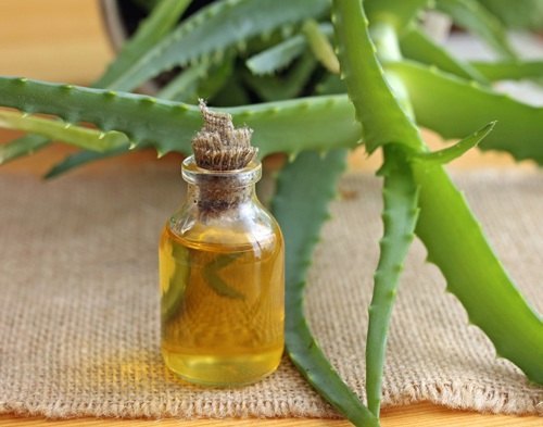 Leaves Aloe Vera Oil - Pure Cold-Pressed Herbal Extract | Promotes Digestive Health Reduces Inflammation Aids Weight Loss Softens Skin