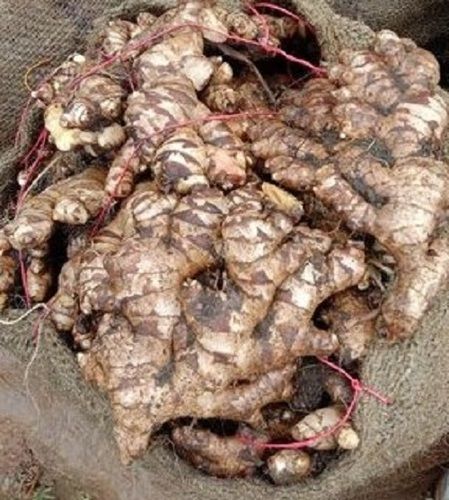 100 Percent Natural Fresh And Healthy Ginger, Rich In Vitamins And Calcium Moisture (%): 0%