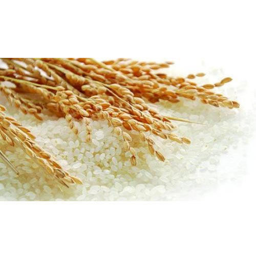 Farm Fresh Healthy Vitamins Enriched Naturally Grown Antioxidants With White Paddy Rice