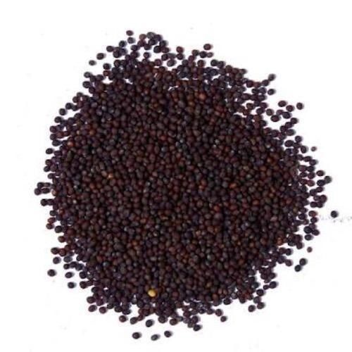 Highly Nutritious And Minerals Good For Skin Black Organic Mustard Seeds 