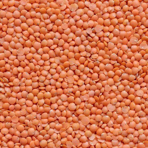 100 Percent Premium, Chemical Free And Pesticides Free Red Masoor Dal Admixture (%): 10%