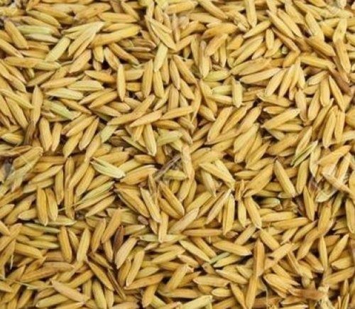 100% Fresh And Organic Long Grain Paddy Rice Rich Source Of Energy And Help To Maintain A Healthy Weight