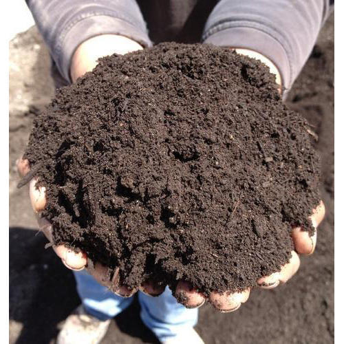 100 Percent Cow Dung Manure Fertilizer Increase Crop With Physicals State Powder