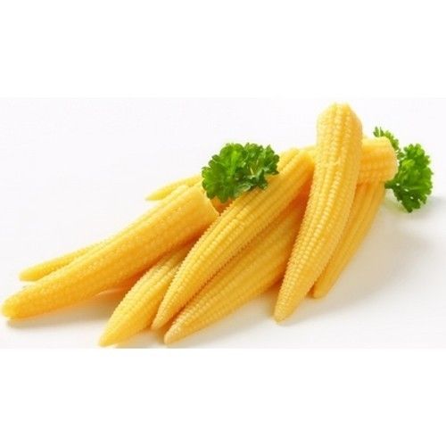 Rich In Dietary Fiber And Vitamins Healthy Benefits Natural Fresh Peeled Baby Corn