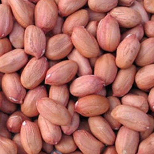 Fresh Healthy Vitamins And Minerals Enriched Indian Origin 100% Pure Groundnut Seeds