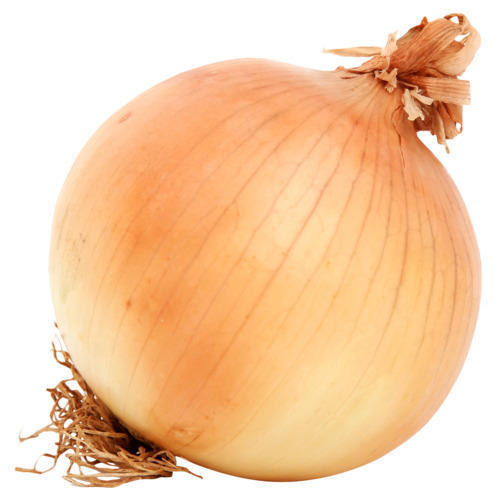 Round Beneficial For Immune System, Naturally Grown, Handpicked Organic Brown Onion 