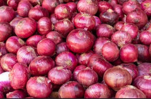 100% Natural Organic Onion With Medium Size And A Grade, 3 Months Shelf Life
