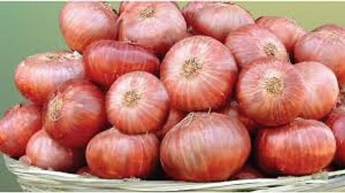 Natural Organic Fresh Onion With Anti-Cancer and Antiseptic Properties With 3 Months Shelf Life