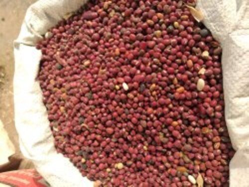 100% Fresh And Organic Natural Red Moong Dal With High In Protein