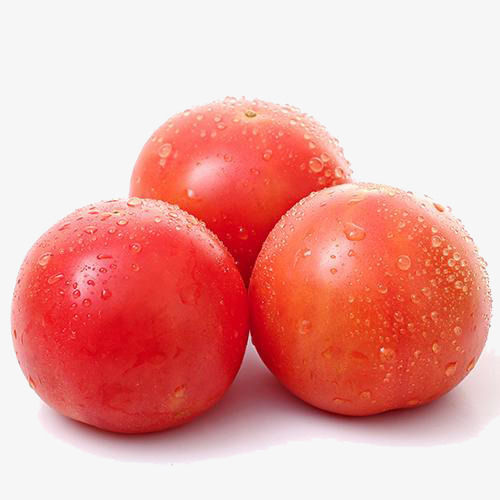 100% Pure Farm Fresh Indian Origin Naturally Grown Vitamins Rich Round Shape Red Tomato