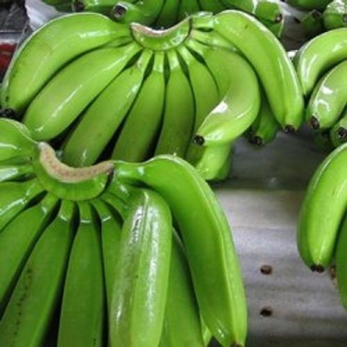 Steel Wire Healthy And Green Banana