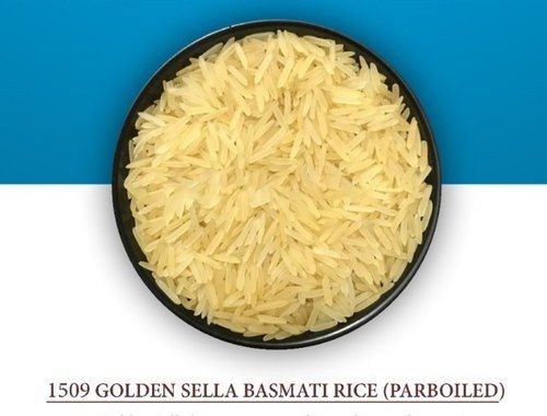 White 1509 Golden Sella Basmati Rice With High Nutritious Value