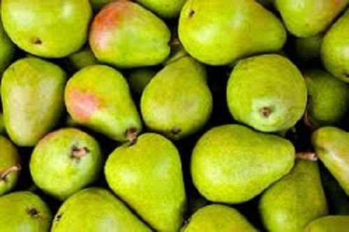 Common Premium Grade Easy To Digest Fresh Green Pears For Daily Purpose