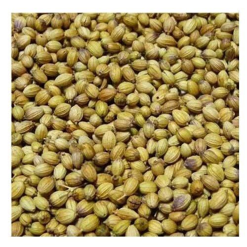 Chemical And Preservative Free Pure Ground Dried Fresh Coriander Seeds