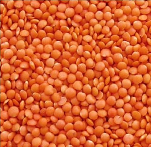 Common Red Color Masoor Dal With High Protein And 6 Months Shelf Life, Rich In Nutrients