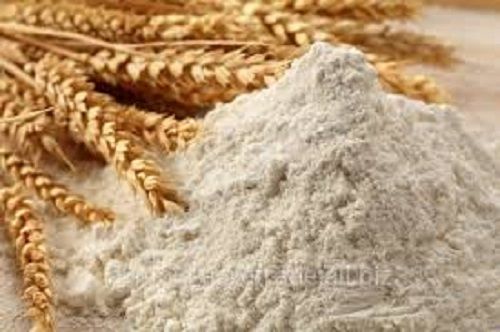 100 Percent Natural and Pure White Wheat Flour For Daily Cooking Purpose