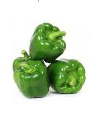 Fresh Good Source Vitamins Minerals And Antioxidants Green Capsicum