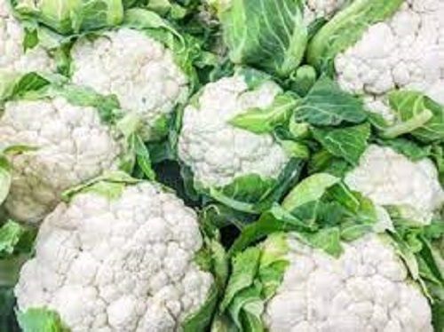 Round 100% Pure Organic And Farm Fresh Pesticide Free White Green Cauliflower