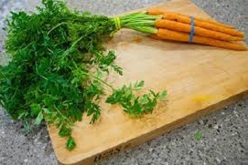 Rich In Nutrient Pesticide Free Fresh Green Coriander Leaves 
