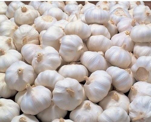 Organic Fresh White Garlic For Cooking With Round Shape And Shelf Life 10-15 Days  Moisture (%): 17%