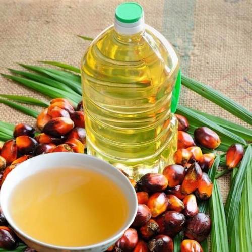 Palm Kernel Oil at Rs 150/kg, Kandivali East, Mumbai