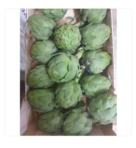 Organic And Fresh A Grade Artichoke Vegetable With High Nutritious Values Moisture (%): 2%