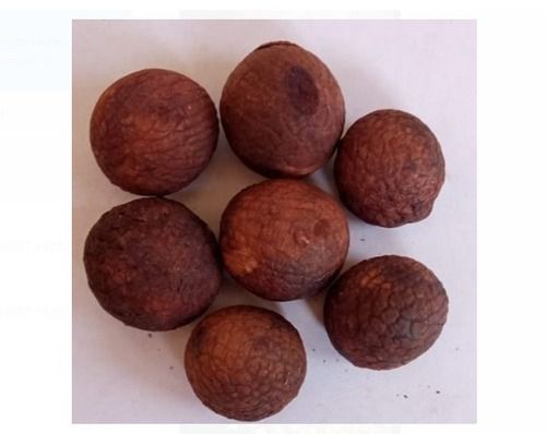 Original 100% Pure And Natural Organic Cultivated Brown Betel Nuts