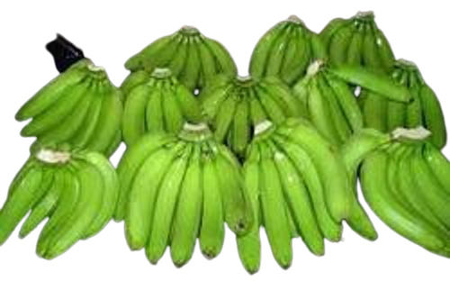 Green Chemical Free Delicious Taste Sow Fresh Excellent Big Size Raw Banana -Xen-Snehal 