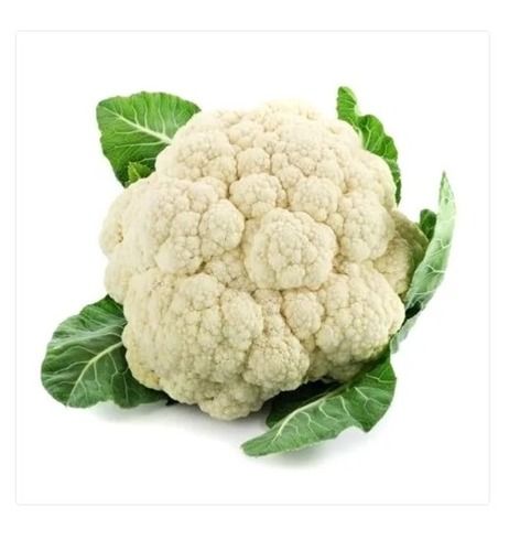Organic And Fresh Cauliflower Vegetable