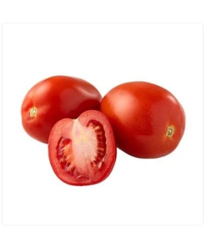 Organic And Fresh Red Tomato With High Nutritious Values