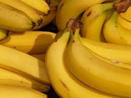 100 % Natural And Fresh Healthy Rich In Vitamin And Potassium Yellow Banana Fruit