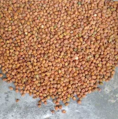 Brown 100% Pure And Fresh Desi Chana Used For Daily Consumption, Good For Health